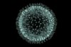 f0070229-coronavirus_artwork-spl.jpg