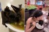 china-bat-eating-soup-01.jpg