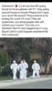 Screenshot_20200319-121451_WeChat.jpg