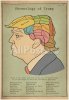 phrenology-of-trump_u-L-F8XPAY0.jpg