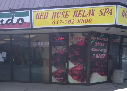 red-rose-birchmount.jpg