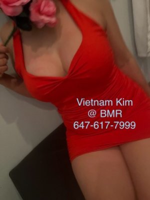 BMR_viet_kim1s.jpg