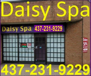 10 Daisy Exterior MP300.webp