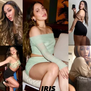 Iris5.webp