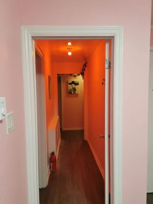 2023-04-03 (4).webp