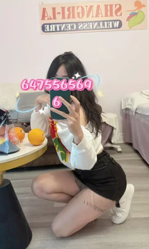 c1da164df18102d8d678d9a3867d21a6.webp