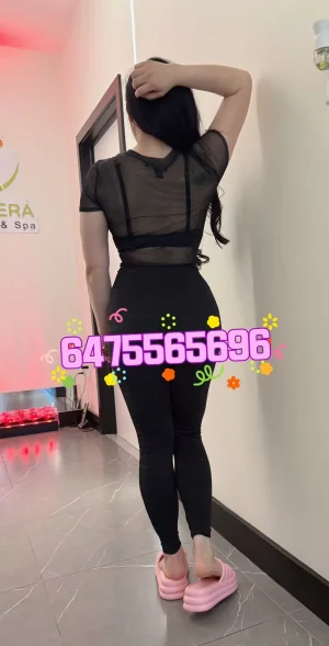 81010e3b534c2237360f60d459b237f5.webp