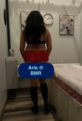 BMR aria4.webp