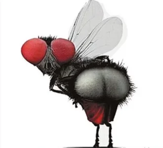 ren fly b74d17b3a4.webp