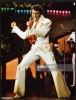 elvis2.PNG