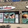 ACE Wellness