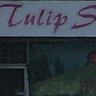 Tulip_Spa