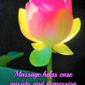 $65/h Massage Therapy------Direct Billing Available