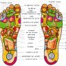 Chinese Foot Reflaxology