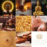 Nous recrutons  Massothérapeute , salon de massage lotus