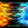 WEST ISLAND-ENJOY EXPERIENCE MASSAGE PROSTATE BEST ORGASM