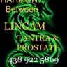 DISCREET★WEST ISLAND★ULTIMATE EXPERIENCE★PROSTATE*FIST*LINGAM*FACE S*GOLDEN*FETISHE