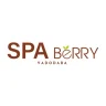 Treat Yourself to the Best with a Body Massage at Spa Berry 8511322040