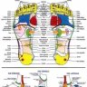 RÉFLEXOLOGIE DES PIEDS, MASSAGE AMMA SUR CHAISE