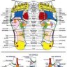 Massage AMMA sur chaise, Réflexologie des pieds